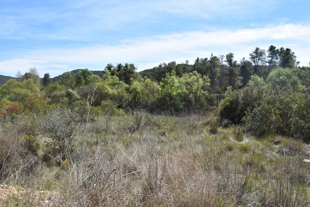 Finca/Herregård til salgs i Arens de Lledo - € 54 000 (Ref: 9150154)