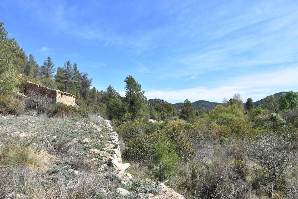 Finca/Herregård til salgs i Arens de Lledo - € 54 000 (Ref: 9150154)