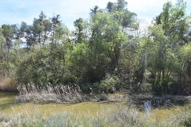 Finca/Landehus til salg i Arens de Lledó - € 54.000 (Ref: 9150154)