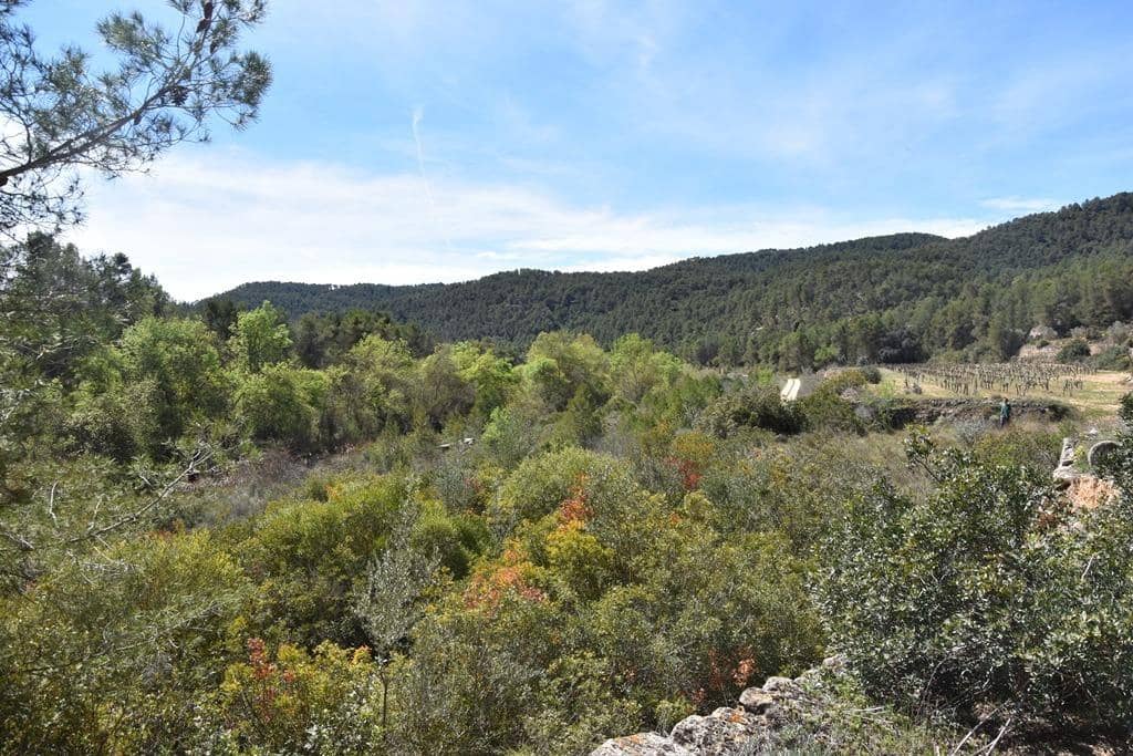 Finca/Herregård til salgs i Arens de Lledo - € 54 000 (Ref: 9150154)