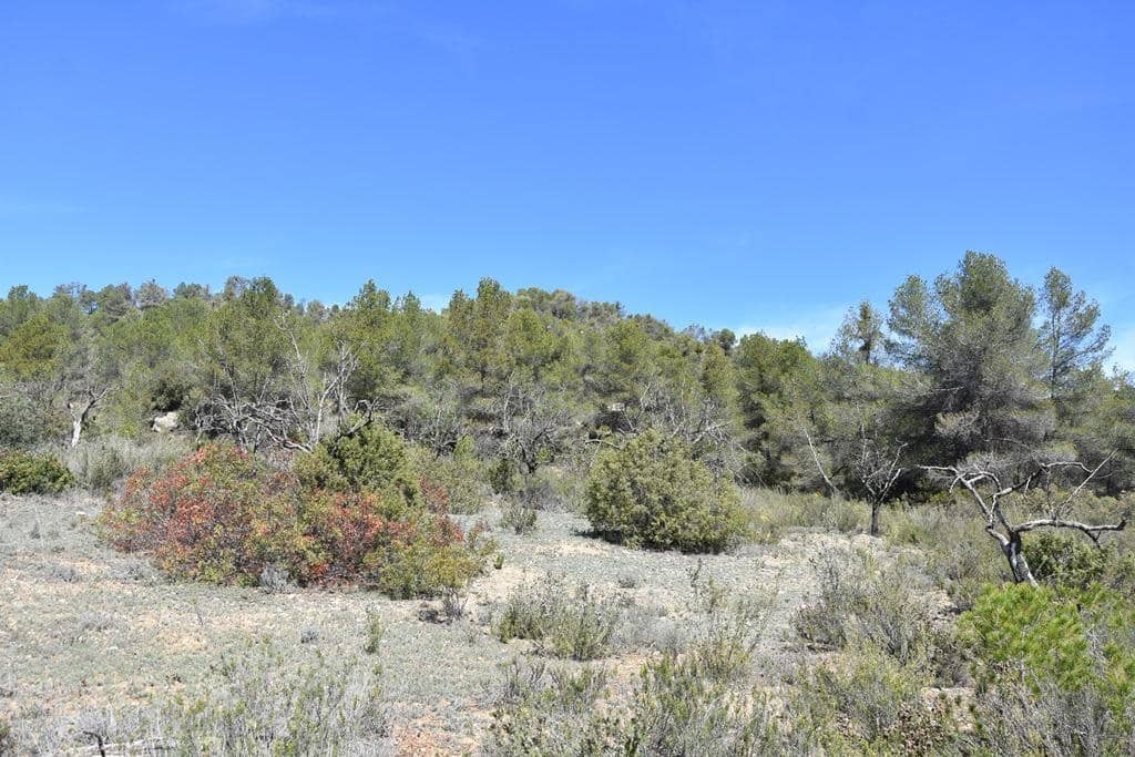 Finca/Herregård til salgs i Arens de Lledo - € 54 000 (Ref: 9150154)