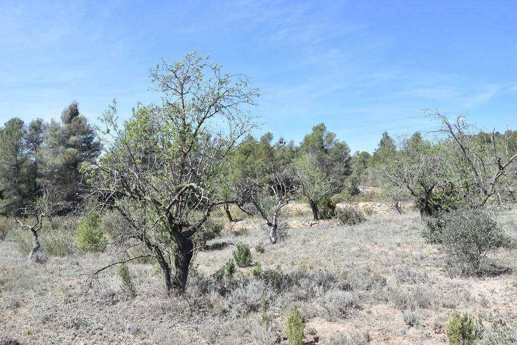 Finca/Herregård til salgs i Arens de Lledo - € 54 000 (Ref: 9150154)