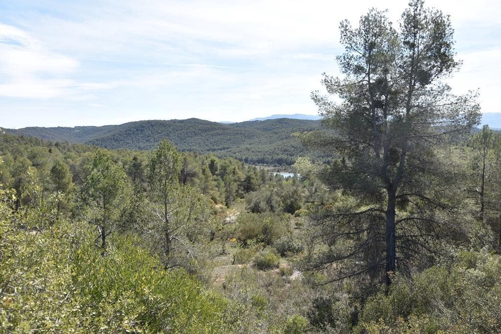 Finca/Herregård til salgs i Arens de Lledo - € 54 000 (Ref: 9150154)