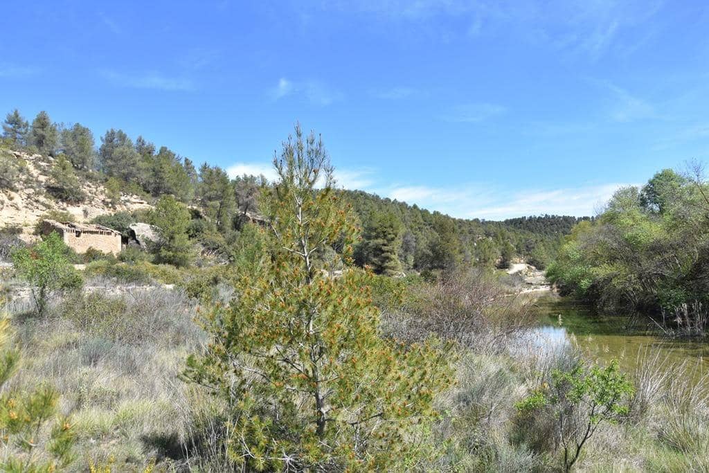 Finca/Herregård til salgs i Arens de Lledo - € 54 000 (Ref: 9150154)