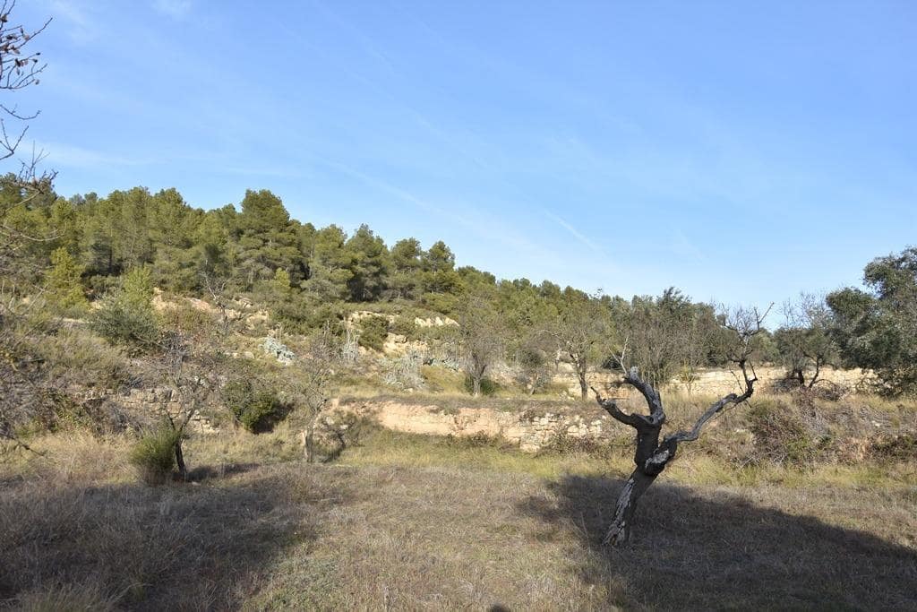 Finca/Landehus til salg i Arens de Lledo - € 80.000 (Ref: 9150157)