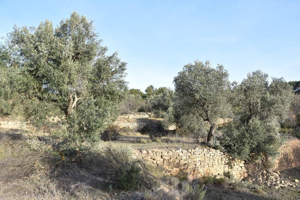 Finca/Landehus til salg i Arens de Lledo - € 80.000 (Ref: 9150157)