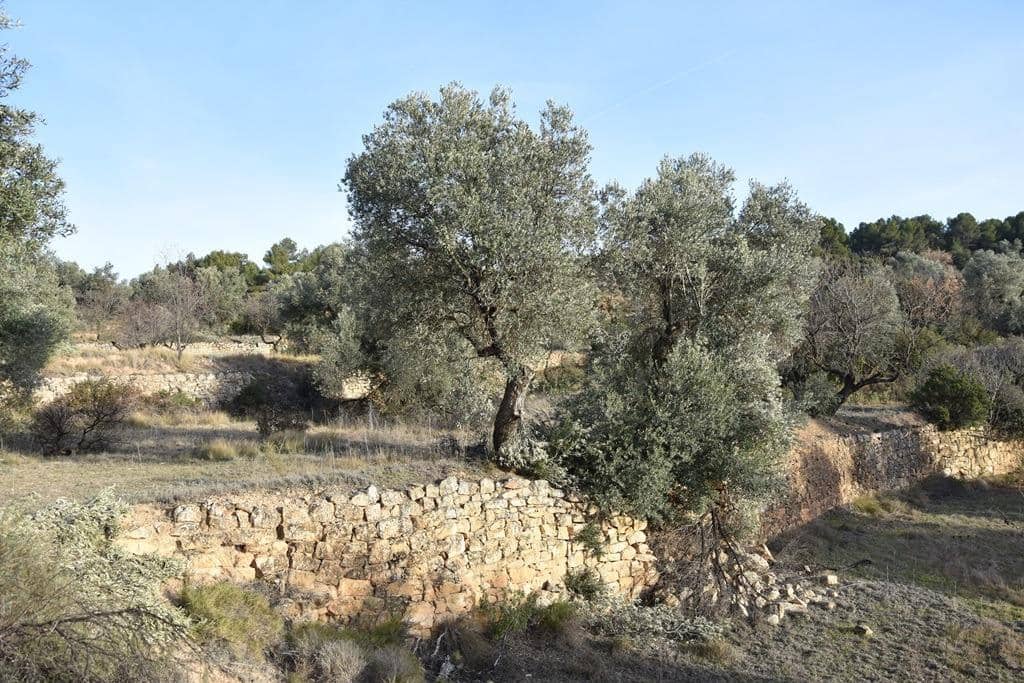 Finca/Landehus til salg i Arens de Lledo - € 80.000 (Ref: 9150157)