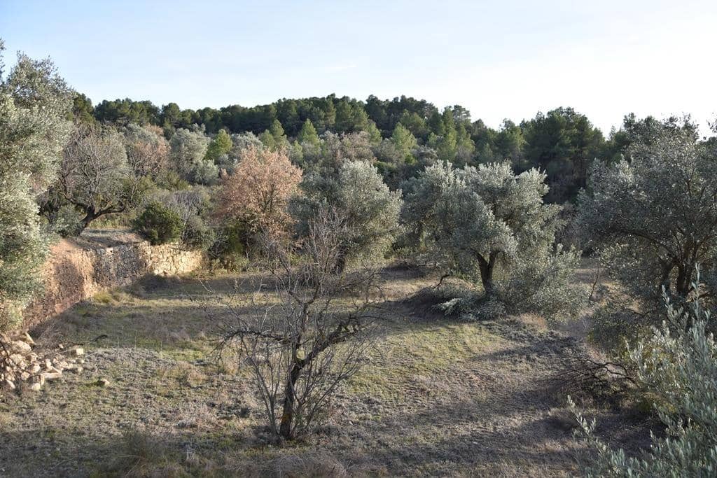 Finca/Landehus til salg i Arens de Lledo - € 80.000 (Ref: 9150157)