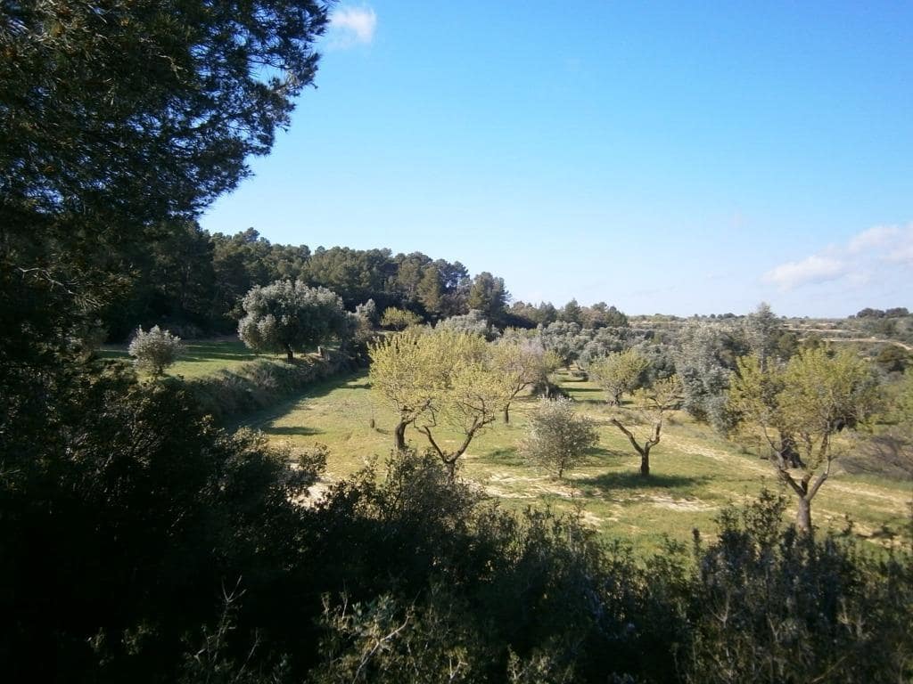 Finca/Landehus til salg i Arens de Lledo - € 80.000 (Ref: 9150157)