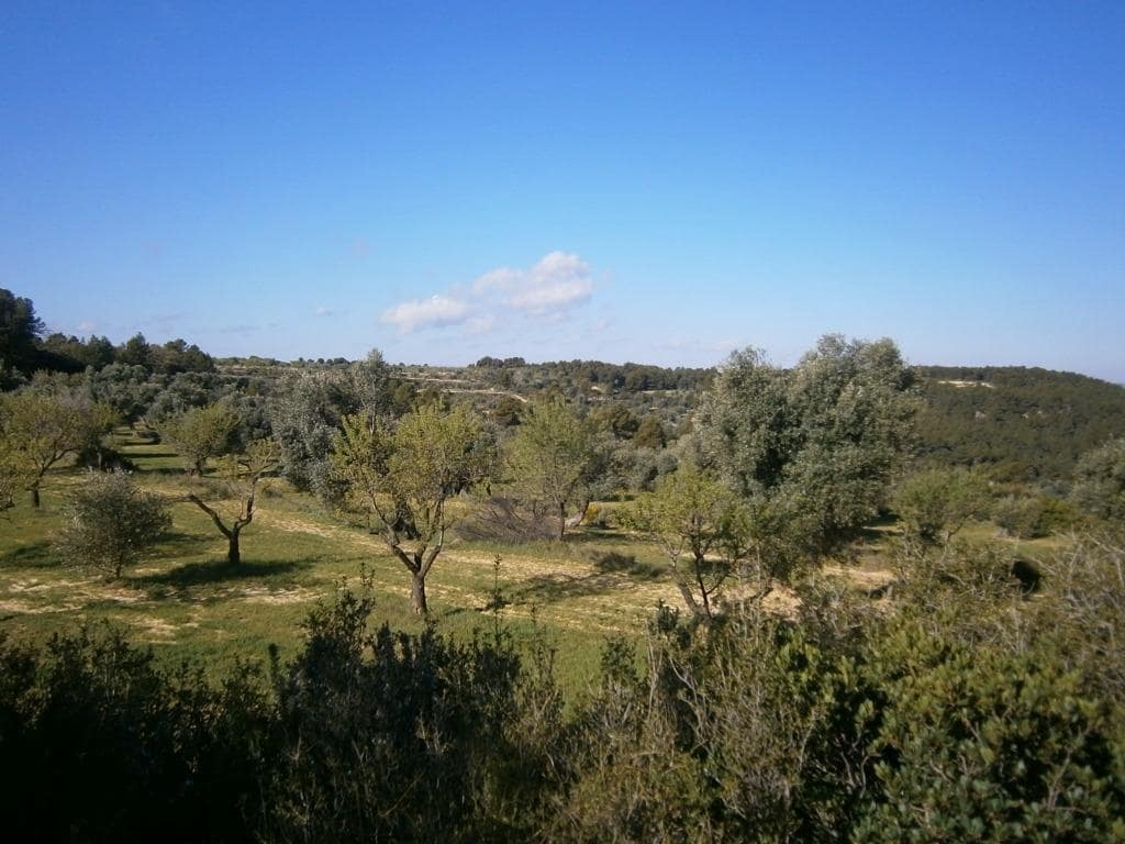 Finca/Landehus til salg i Arens de Lledo - € 80.000 (Ref: 9150157)