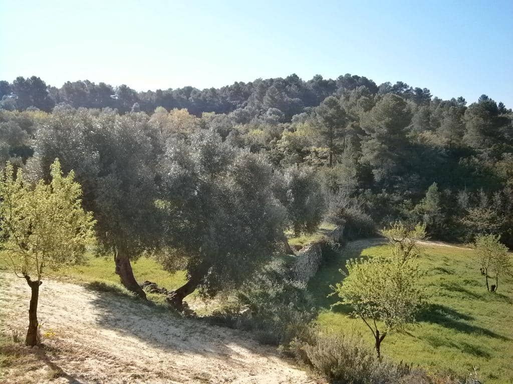 Finca/Landehus til salg i Arens de Lledo - € 80.000 (Ref: 9150157)