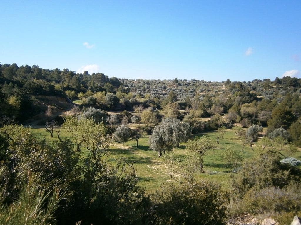 Finca/Landehus til salg i Arens de Lledo - € 80.000 (Ref: 9150157)