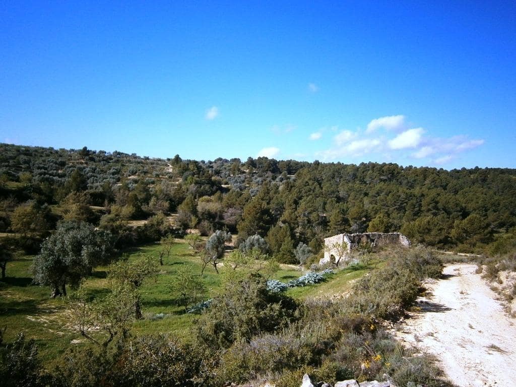 Finca/Landehus til salg i Arens de Lledo - € 80.000 (Ref: 9150157)