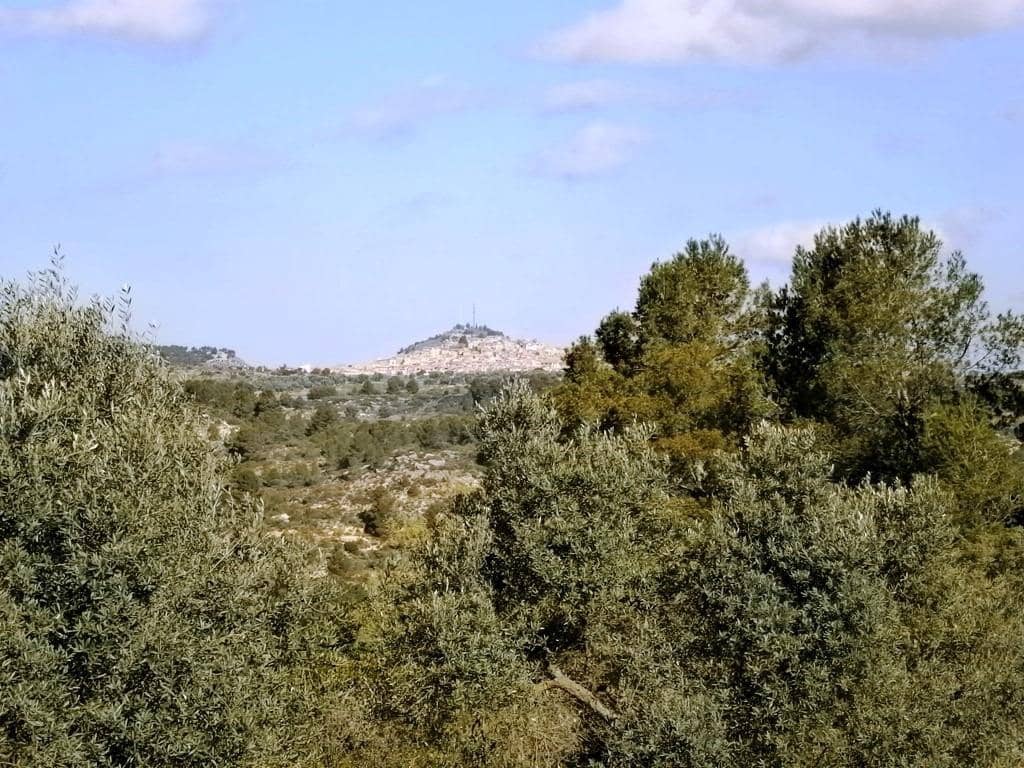 Finca/Landehus til salg i Arens de Lledo - € 80.000 (Ref: 9150157)