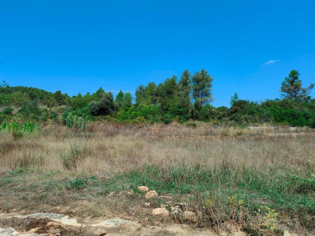 Finca/Landehus til salg i Arens de Lledo - € 39.000 (Ref: 9150158)