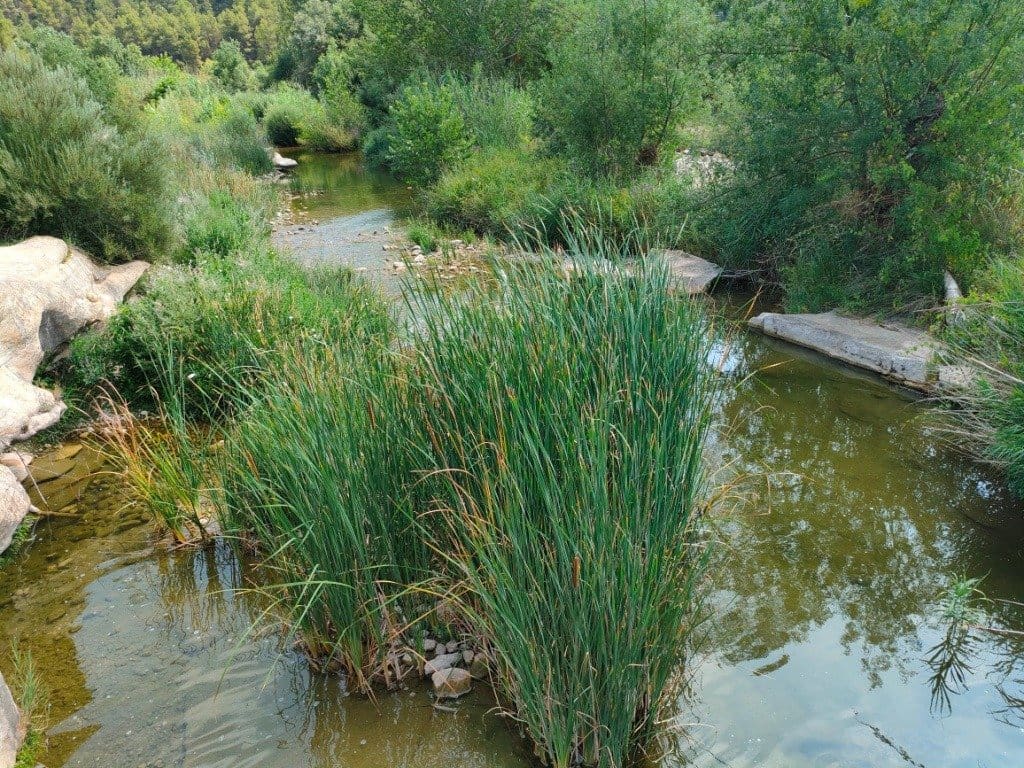 Finca/Landehus til salg i Arens de Lledo - € 39.000 (Ref: 9150158)