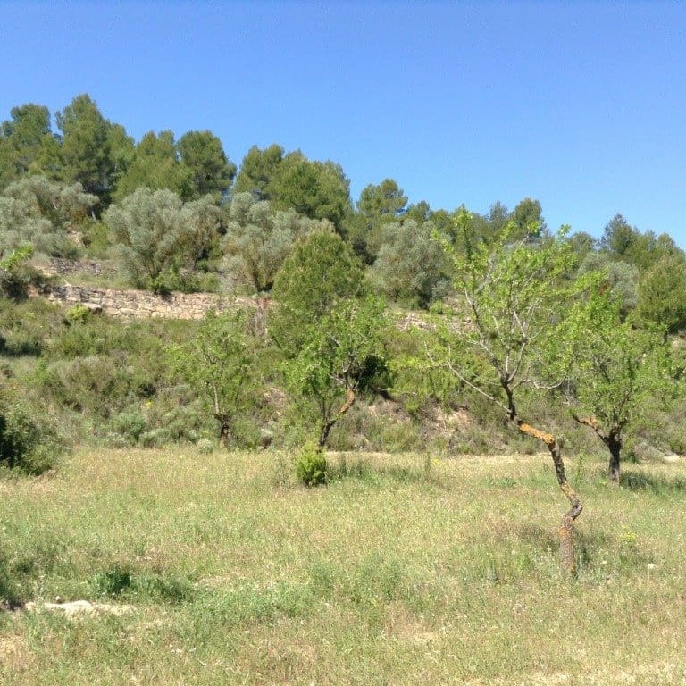 Finca/Landehus til salg i Arens de Lledo - € 39.000 (Ref: 9150158)