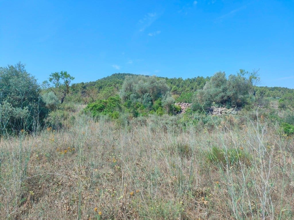 Finca/Landehus til salg i Arens de Lledo - € 39.000 (Ref: 9150158)