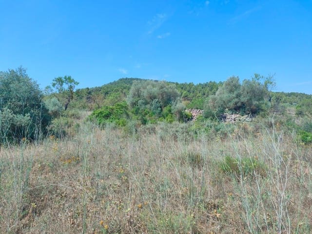 Finca/Landehus til salg i Arens de Lledó - € 39.000 (Ref: 9150158)