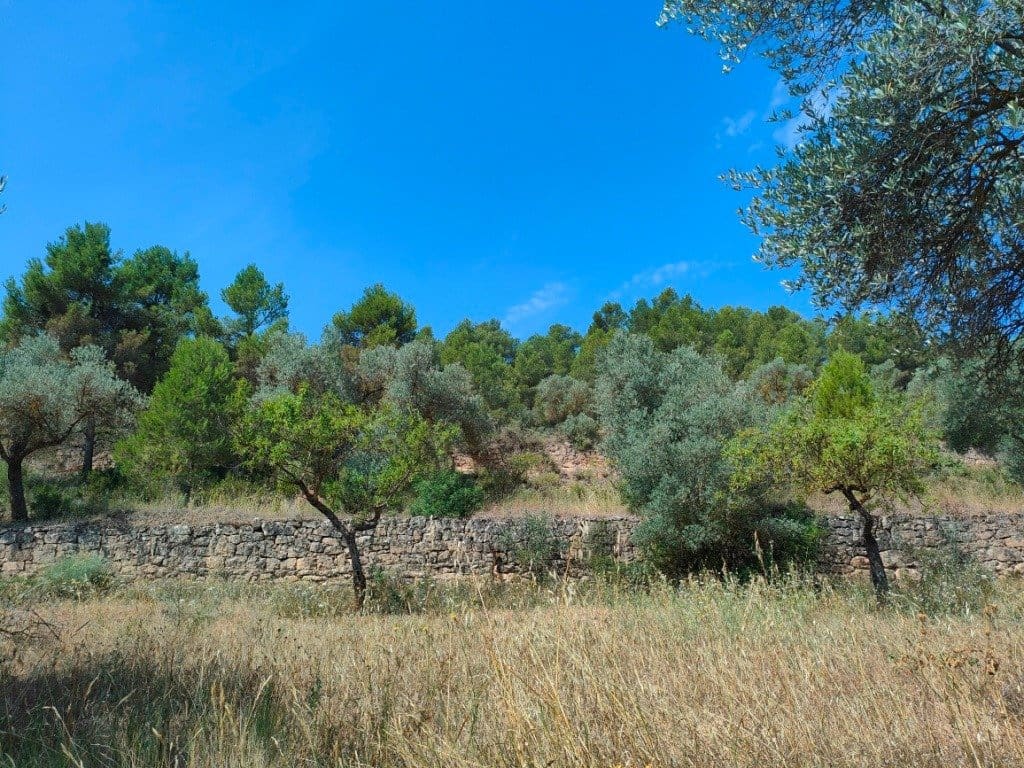 Finca/Landehus til salg i Arens de Lledo - € 39.000 (Ref: 9150158)