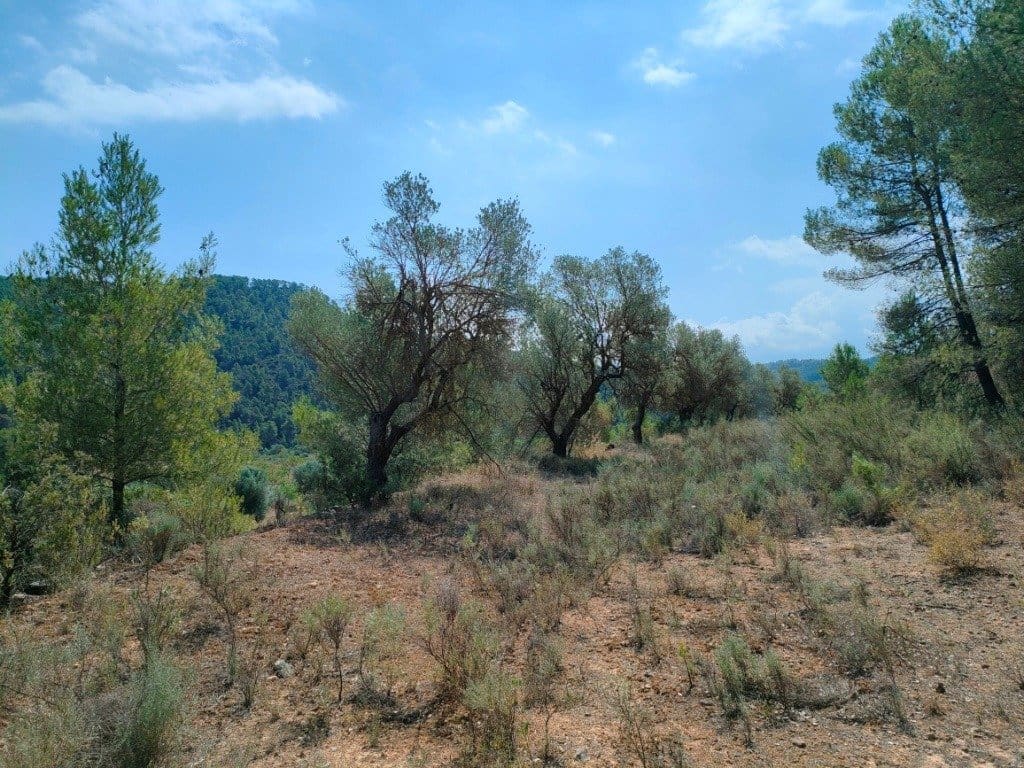 Finca/Landehus til salg i Arens de Lledo - € 39.000 (Ref: 9150158)