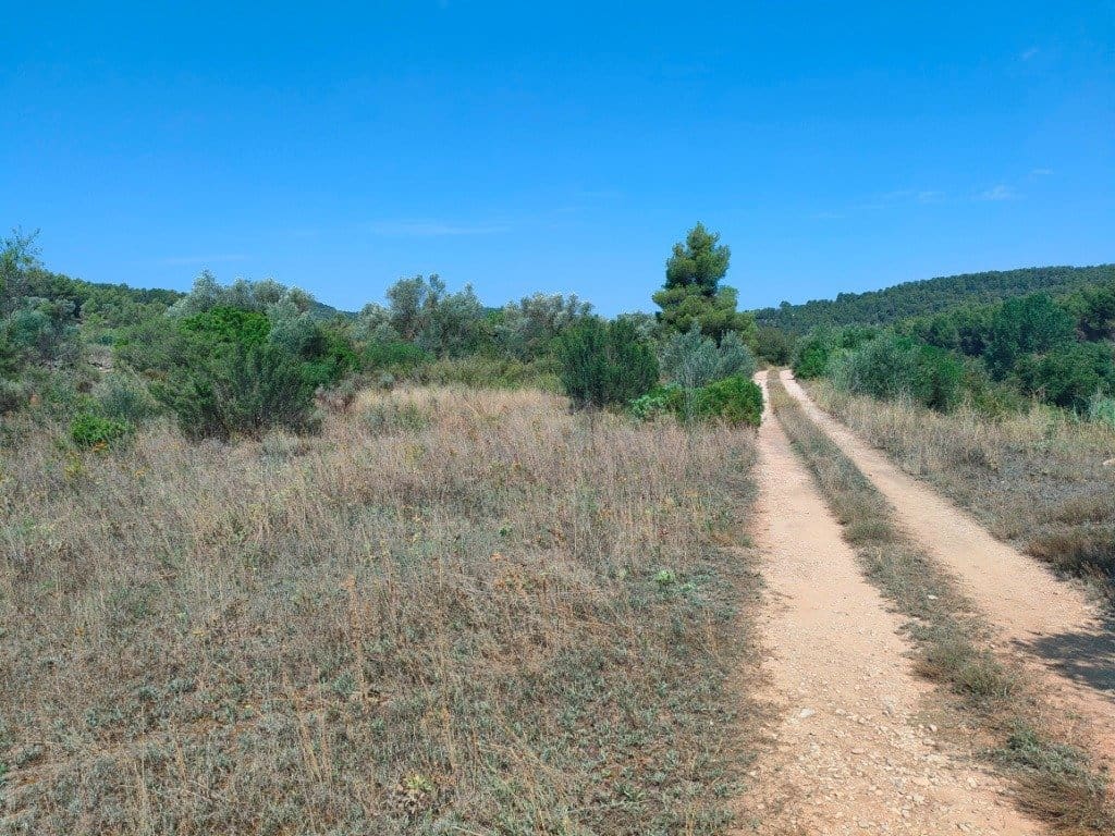 Finca/Landehus til salg i Arens de Lledo - € 39.000 (Ref: 9150158)