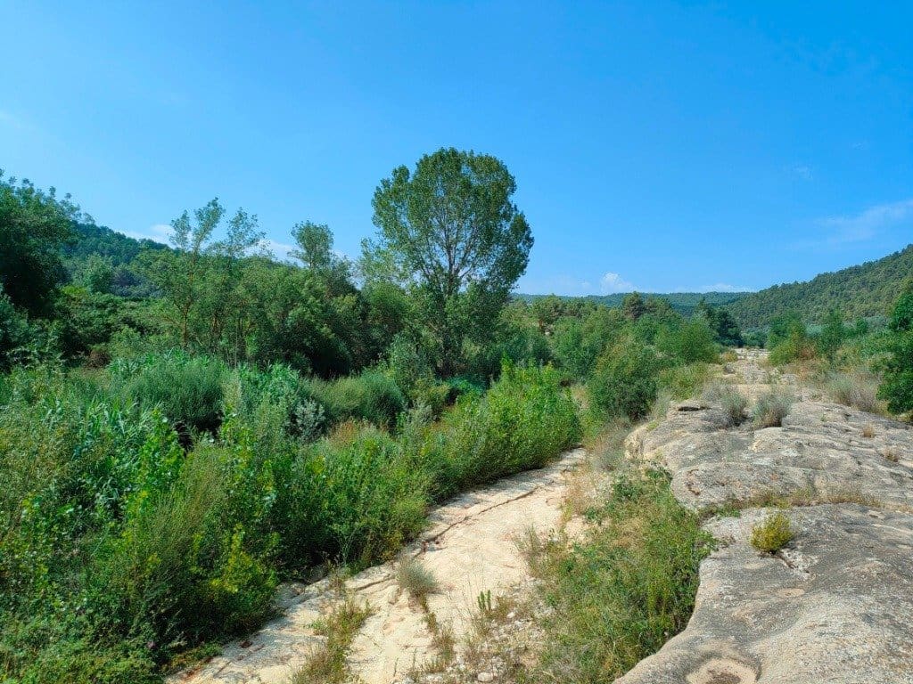 Finca/Landehus til salg i Arens de Lledo - € 39.000 (Ref: 9150158)