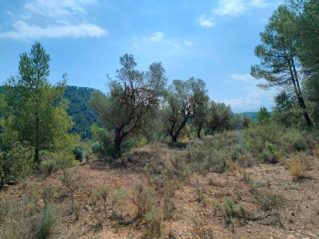 Finca/Landehus til salg i Arens de Lledó - € 39.000 (Ref: 9150158)