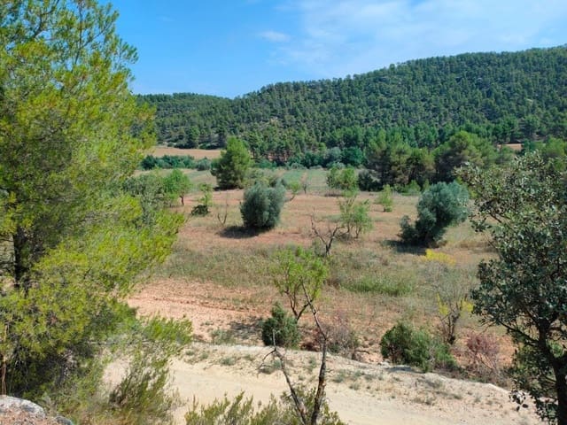 Finca/Landehus til salg i Arens de Lledó - € 39.000 (Ref: 9150158)