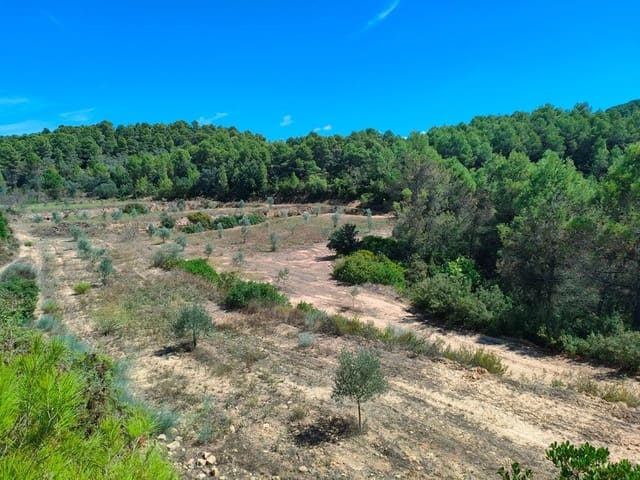 Finca/Landehus til salg i Horta de Sant Joan - € 24.000 (Ref: 9150159)