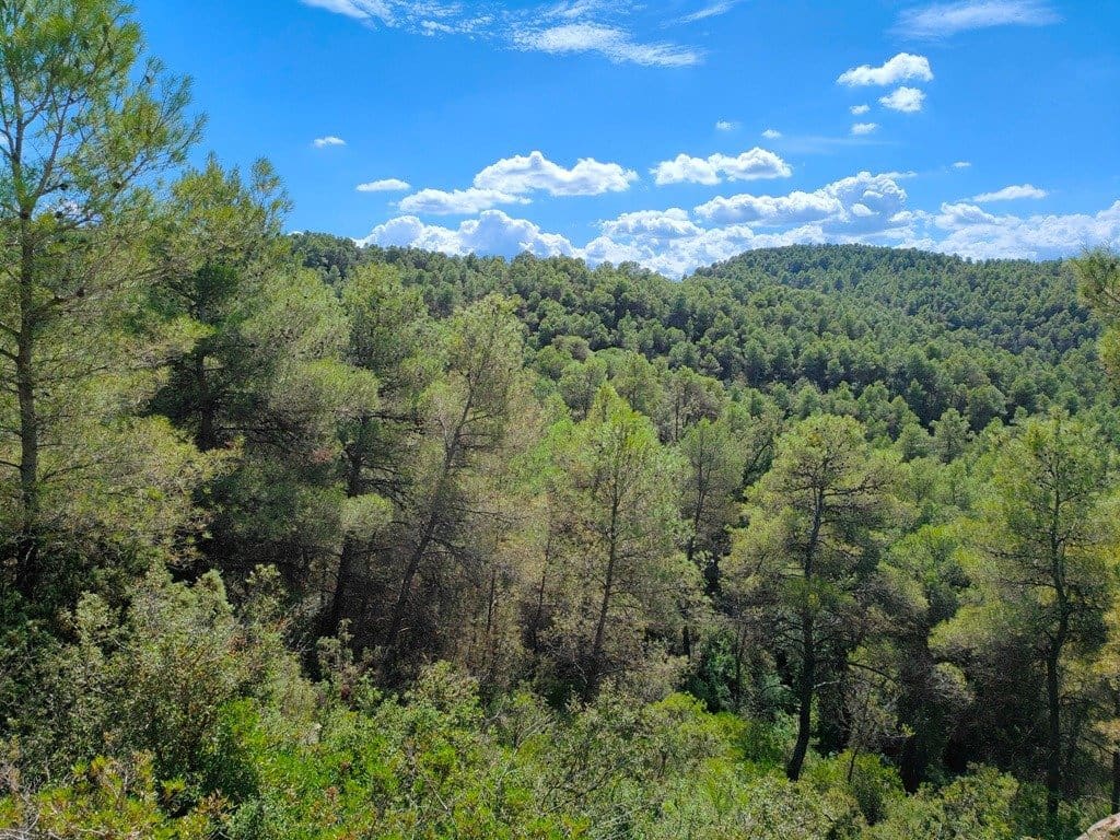 Finca/Landehus til salg i Horta de Sant Joan - € 24.000 (Ref: 9150159)