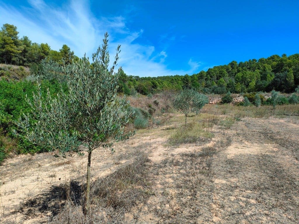 Finca/Landehus til salg i Horta de Sant Joan - € 24.000 (Ref: 9150159)