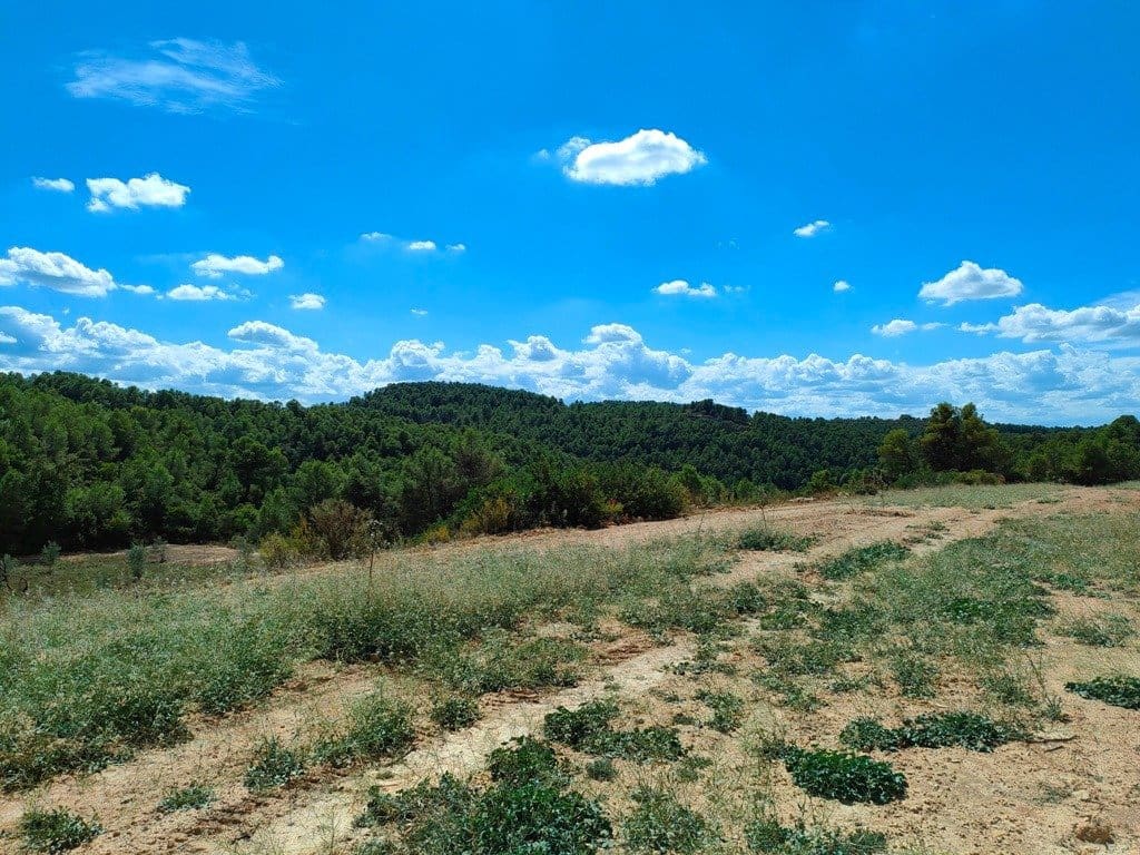 Finca/Landehus til salg i Horta de Sant Joan - € 24.000 (Ref: 9150159)