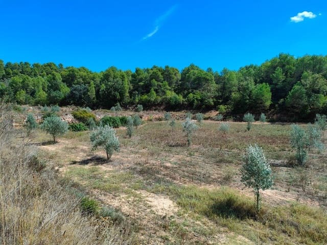 Finca/Landehus til salg i Horta de Sant Joan - € 24.000 (Ref: 9150159)