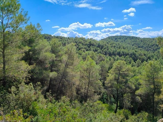 Finca/Landehus til salg i Horta de Sant Joan - € 24.000 (Ref: 9150159)