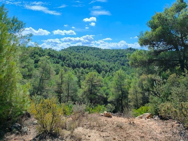 Finca/Landehus til salg i Horta de Sant Joan - € 24.000 (Ref: 9150159)