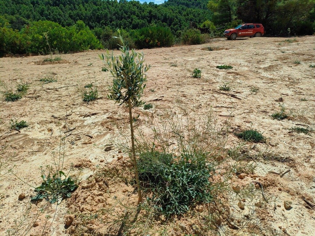 Finca/Landehus til salg i Horta de Sant Joan - € 24.000 (Ref: 9150159)