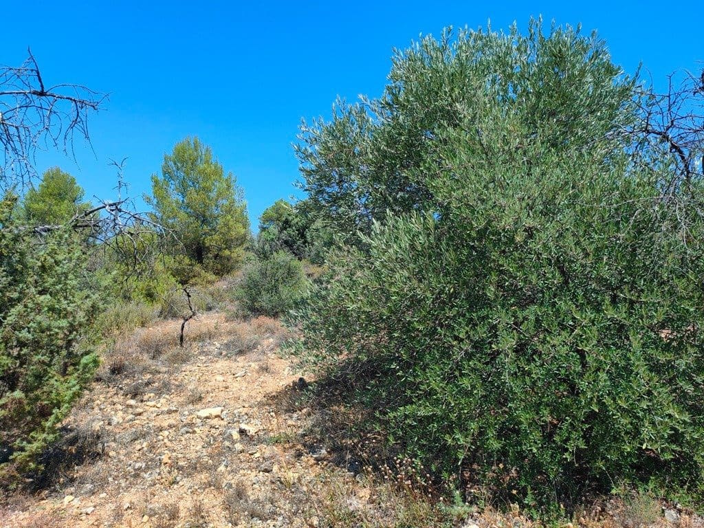 Finca/Landehus til salg i Valderrobres - € 16.000 (Ref: 9150162)