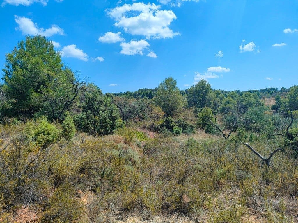 Finca/Landehus til salg i Valderrobres - € 16.000 (Ref: 9150162)