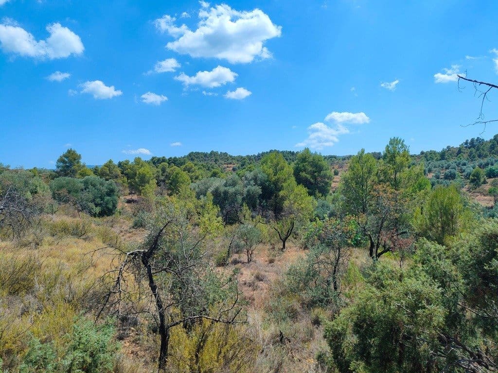 Finca/Landehus til salg i Valderrobres - € 16.000 (Ref: 9150162)