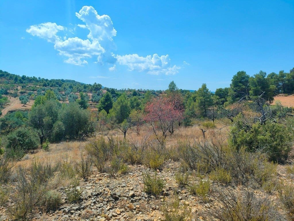 Finca/Landehus til salg i Valderrobres - € 16.000 (Ref: 9150162)