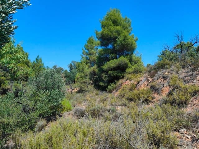 Finca/Landhuis te koop in Valderrobres - € 16.000 (Ref: 9150162)