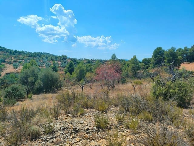 Finca/Landhuis te koop in Valderrobres - € 16.000 (Ref: 9150162)