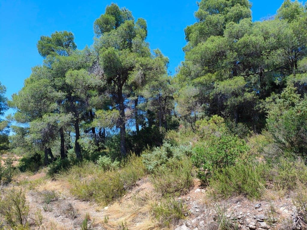 Finca/Landehus til salg i Valderrobres - € 16.000 (Ref: 9150162)