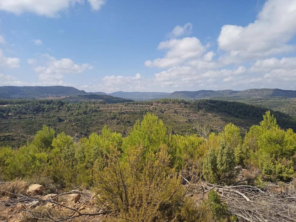 Finca/Landehus til salg i Valderrobres - € 20.000 (Ref: 9150164)