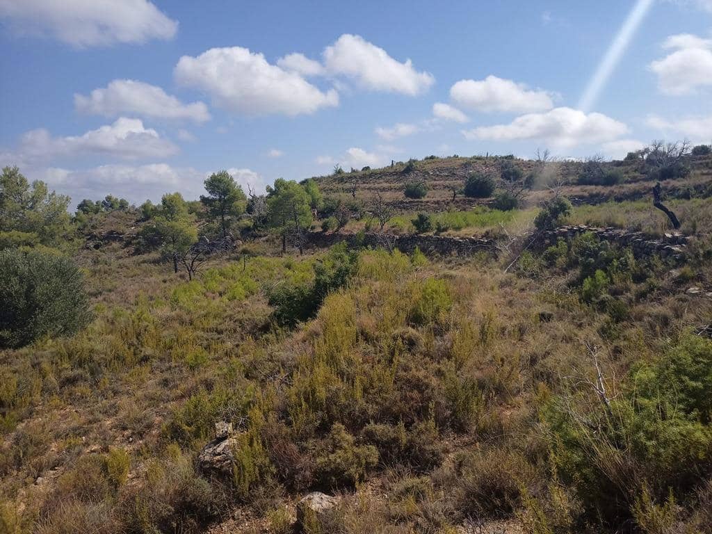 Finca/Landehus til salg i Valderrobres - € 20.000 (Ref: 9150164)