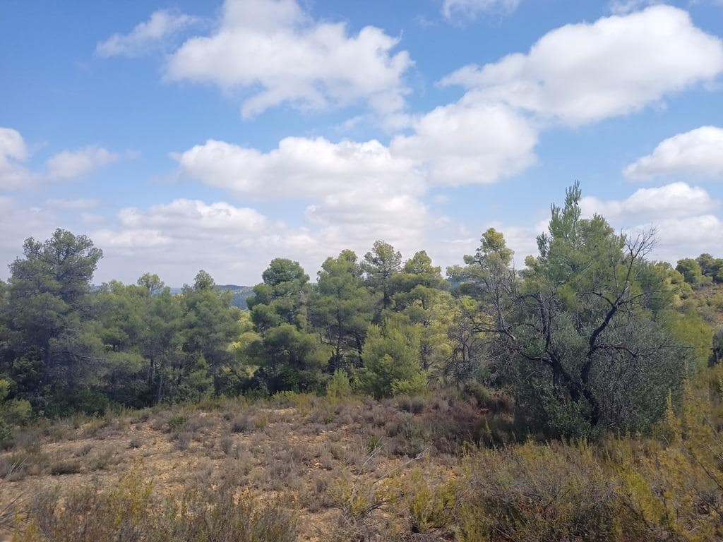 Finca/Landehus til salg i Valderrobres - € 20.000 (Ref: 9150164)