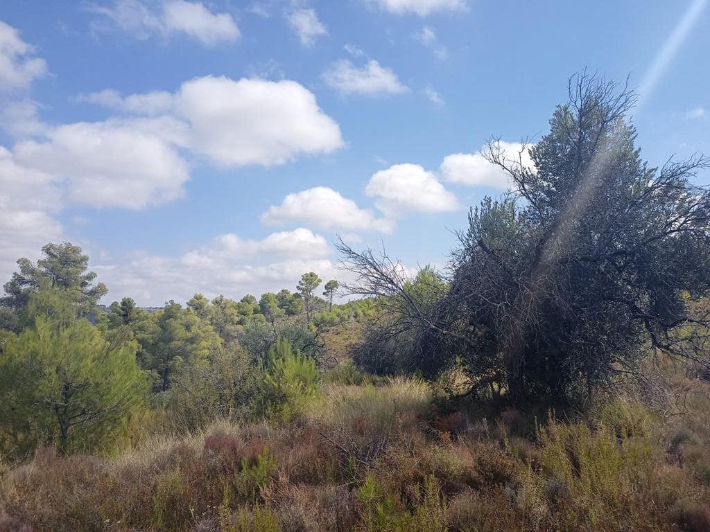 Finca/Landehus til salg i Valderrobres - € 20.000 (Ref: 9150164)