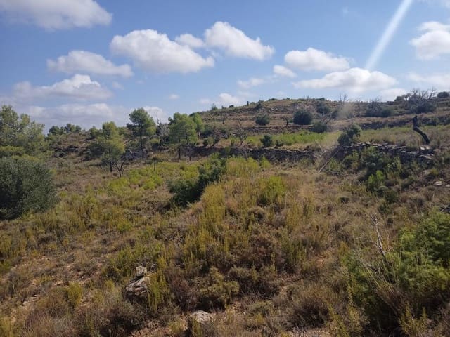 Finca/Landhuis te koop in Valderrobres - € 20.000 (Ref: 9150164)