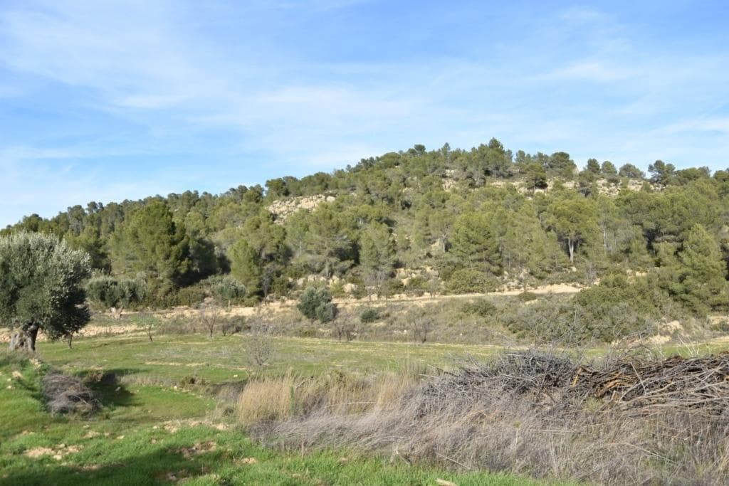 Finca/Landhuis te koop in Valjunquera - € 50.000 (Ref: 9150165)